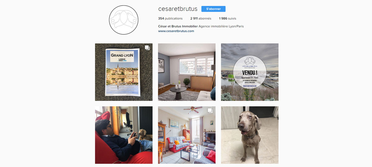 instagream_cesar_brutus_immobilier_reseaux_sociaux_illustration