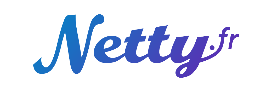 Logo Netty