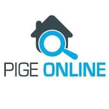 Logo Pige Online