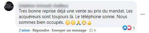 Commentaire Facebook Reprise Activite Immobiliere Joie2